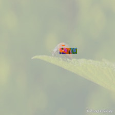 ../_images/62c40b824e5293da0e6259f43d782a617925705eb87397de272fd6db5af96d35.png